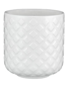 Scentimental Fragrance Candle 100g Sunday Mornings Gift Boxed in Multi