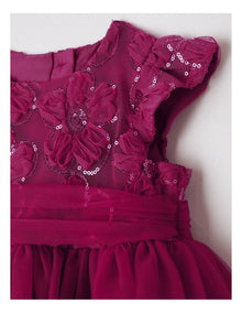 Margo Embroidered Dress in Raspberry