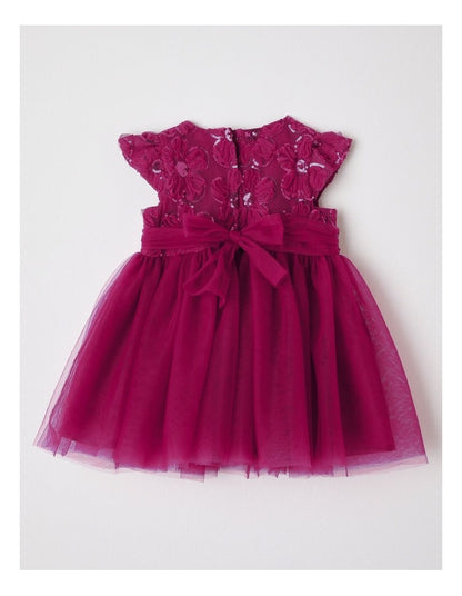 Margo Embroidered Dress in Raspberry