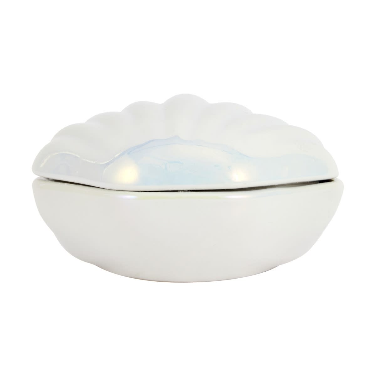 Shell Shaped Candle