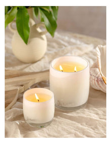 Cotton Candy, Vanilla, Nectar, Musk, Toffee Candle 140g