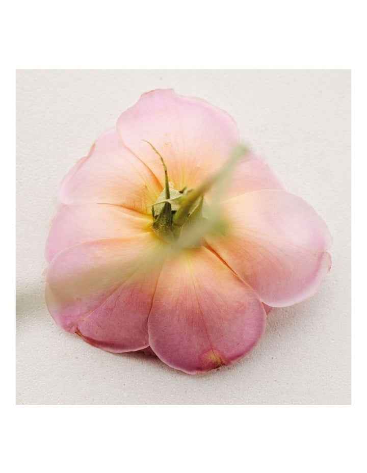Atelier Des Fleurs Rosa Damascena Eau De Parfum