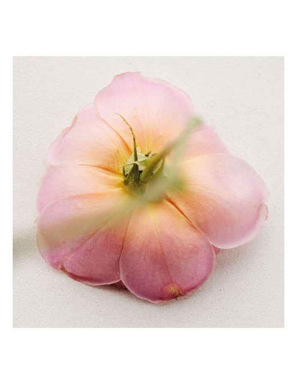Atelier Des Fleurs Rosa Damascena Eau De Parfum
