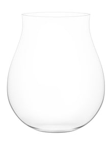 Plumm Gin Glass Set of 4 in Clear