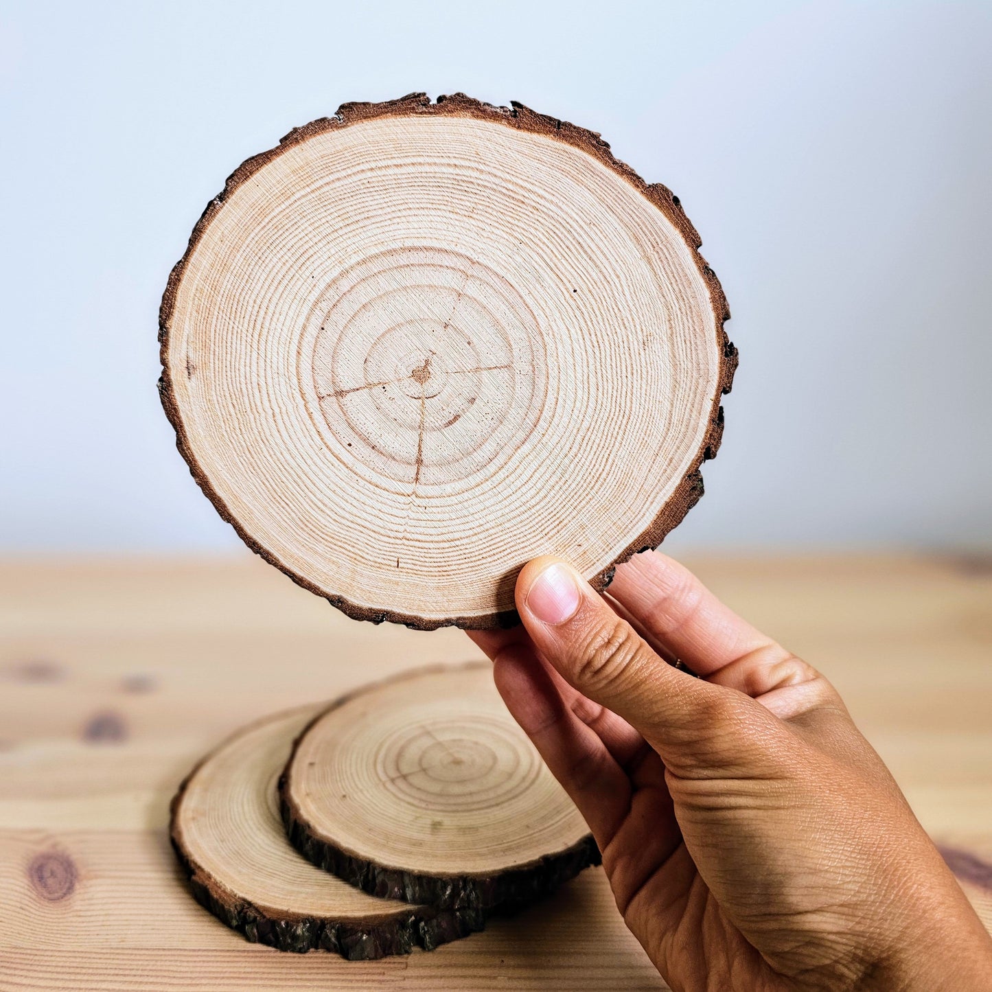 Wood Slices Each 12-14cm Diameter Wooden Nature Play Tools and Toys 3yrs+