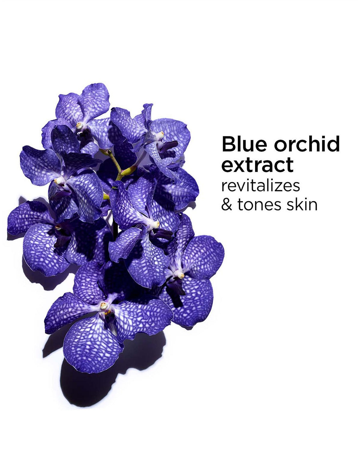 Blue Orchid Face Treatment Oil - Dehydrated Skin 30ml