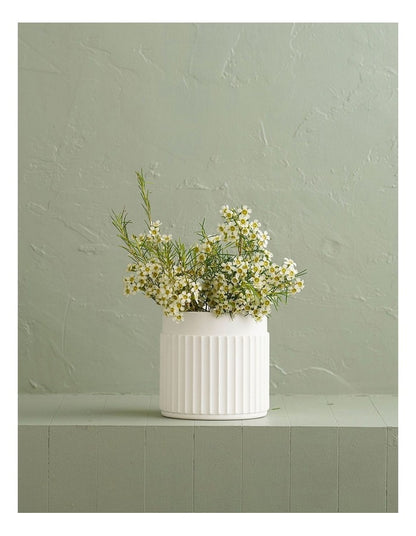 Lume Oval Tray in White
