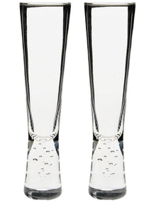 Willie Champagne Flute Set 2 Piece in Clear