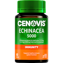 Cenovis Echinacea 5000 Capsules For Immune Support 60 pack