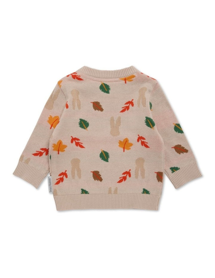 Jacquard Knit Jumper in Multi