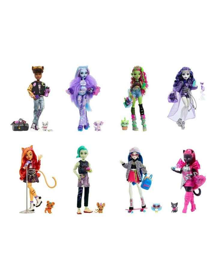 Monster High Fashion Doll with Pet and Accessories
