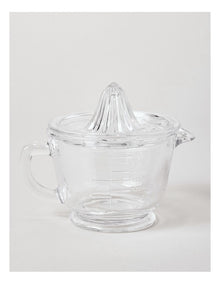 Glass Juicer in Clear