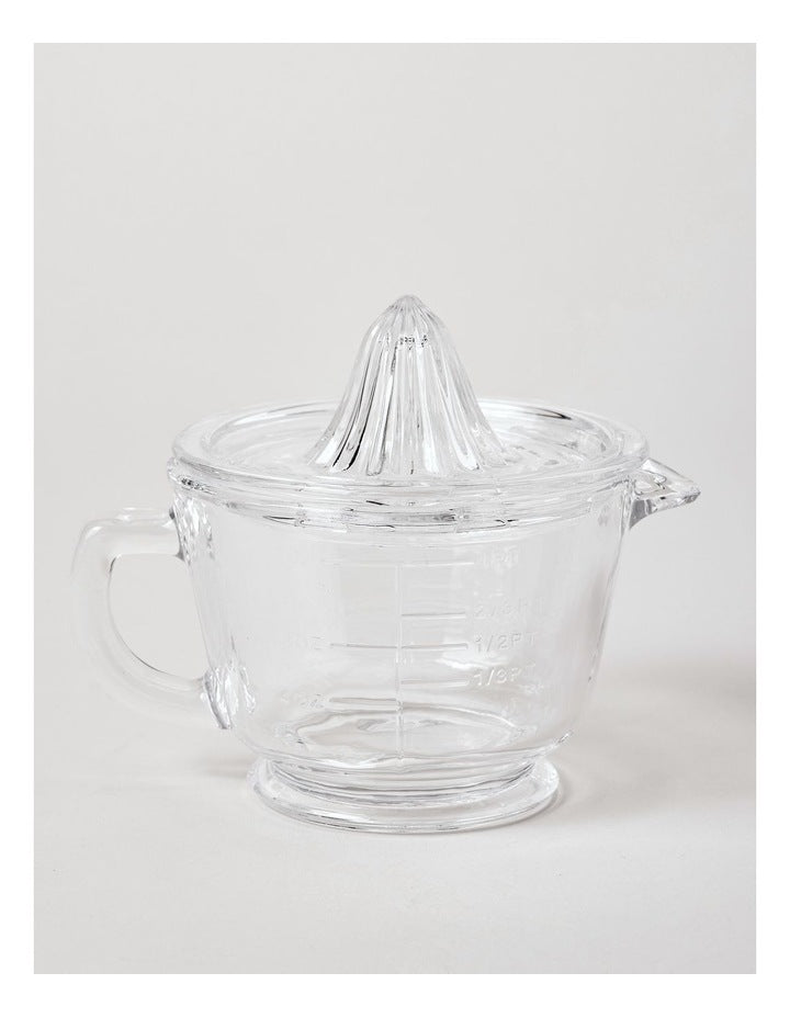 Glass Juicer in Clear