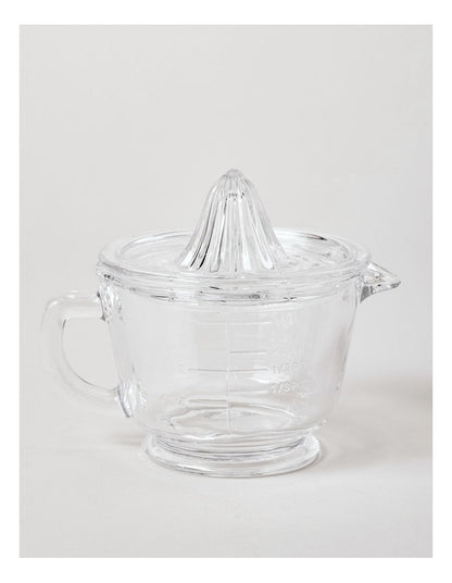 Glass Juicer in Clear