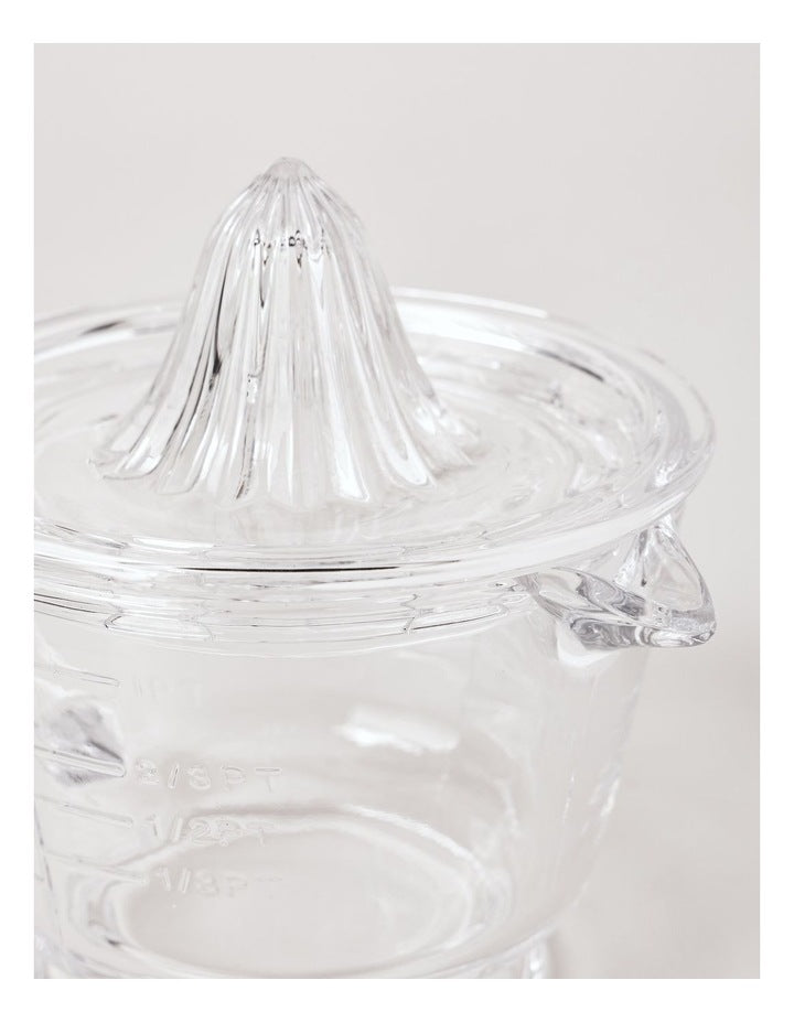 Glass Juicer in Clear