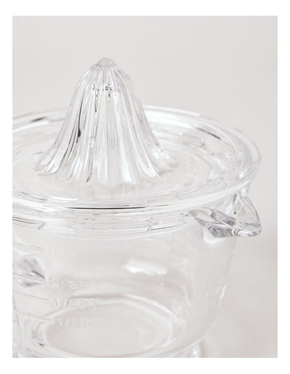 Glass Juicer in Clear