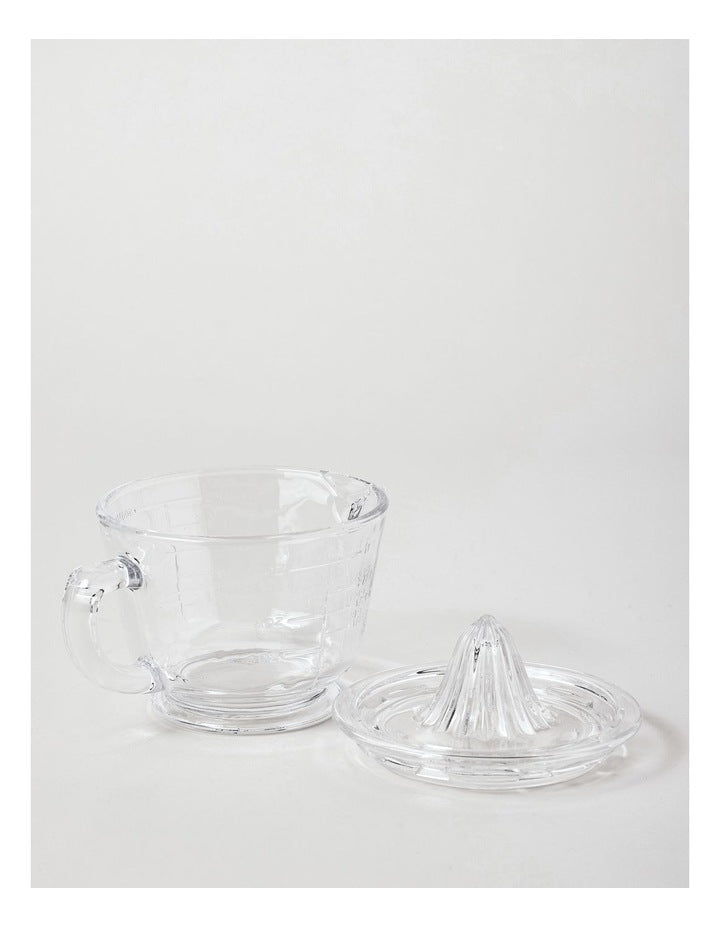 Glass Juicer in Clear