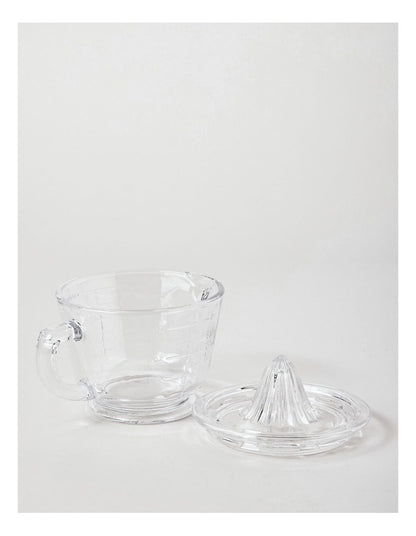 Glass Juicer in Clear