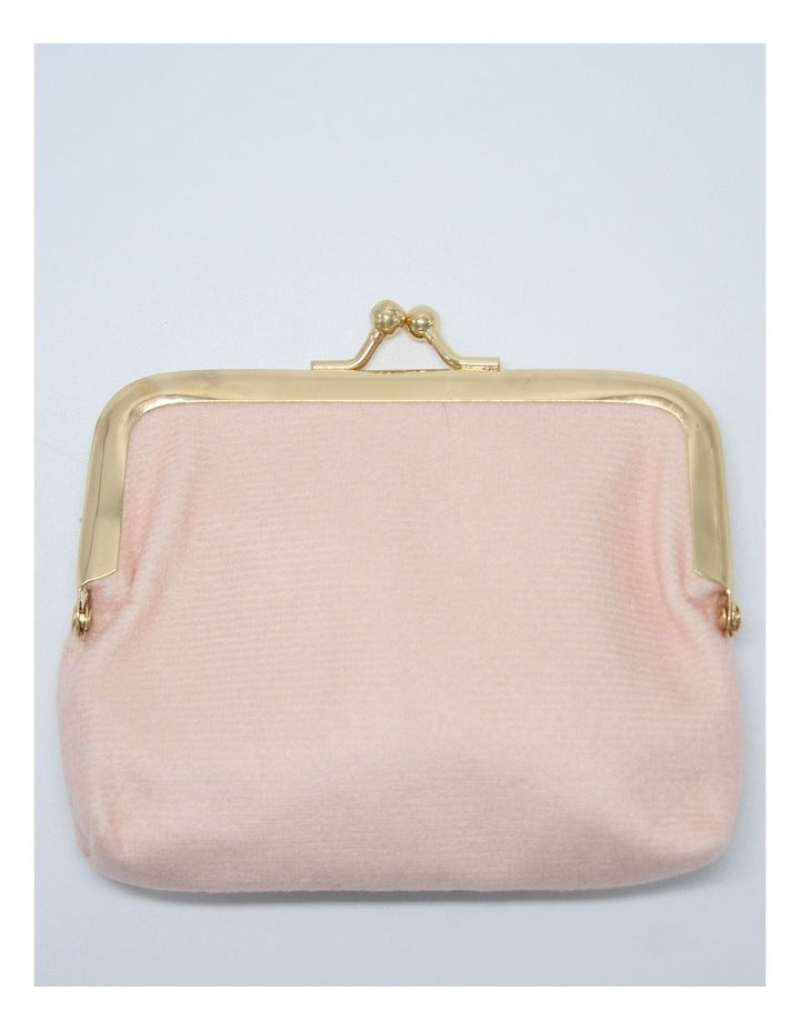 Velvet Clasp Purse in Multi