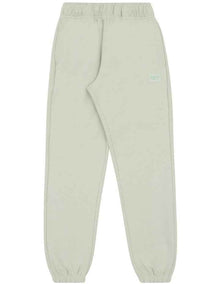 Rochester Base Pants in Clever Sage