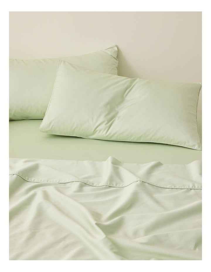 Eden Cotton Standard Pillowcase Pair in Mint