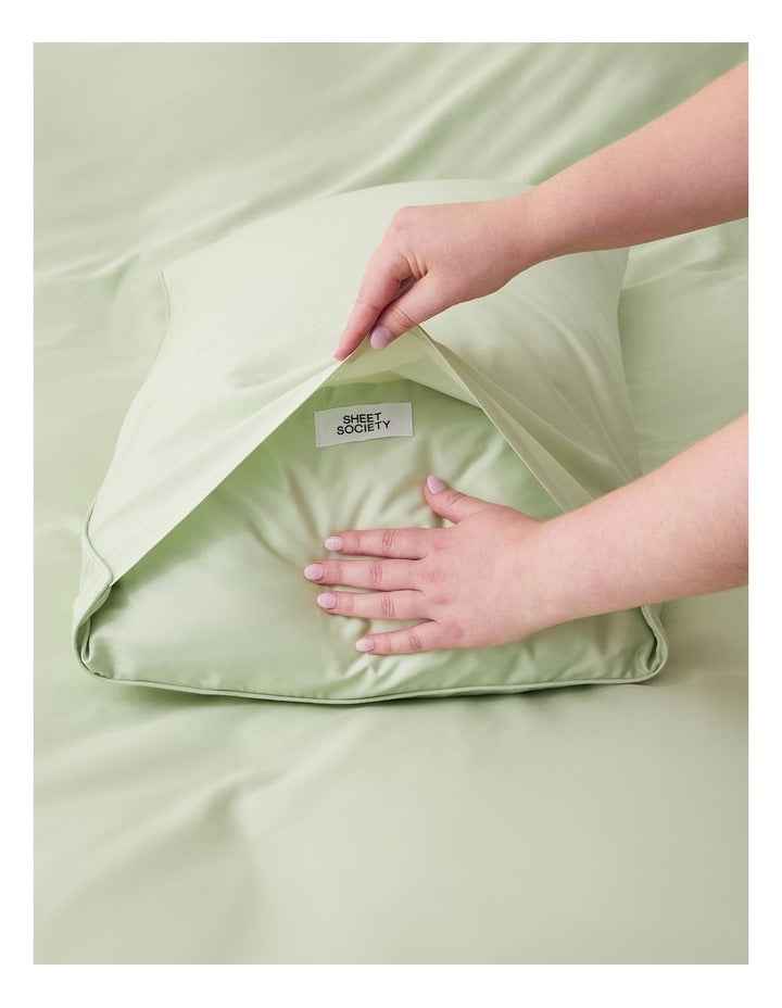 Eden Cotton Standard Pillowcase Pair in Mint