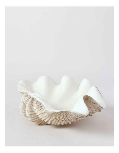 Atolle Shell 40cm in White