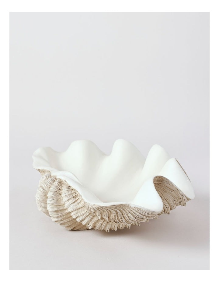 Atolle Shell 40cm in White