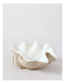Atolle Shell 40cm in White