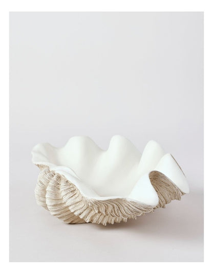 Atolle Shell 40cm in White