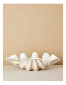 Atolle Shell 40cm in White