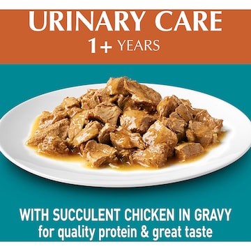 Purina One Adult Urinary Care With Chicken In Gravy Wet Cat Food 70g