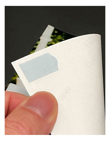 Adhesive Photo Splits 250 Pack (Bulk 3 Bundle) in Multi