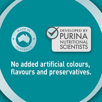 Purina One Adult Chicken In Gravy Wet Cat Food 70g