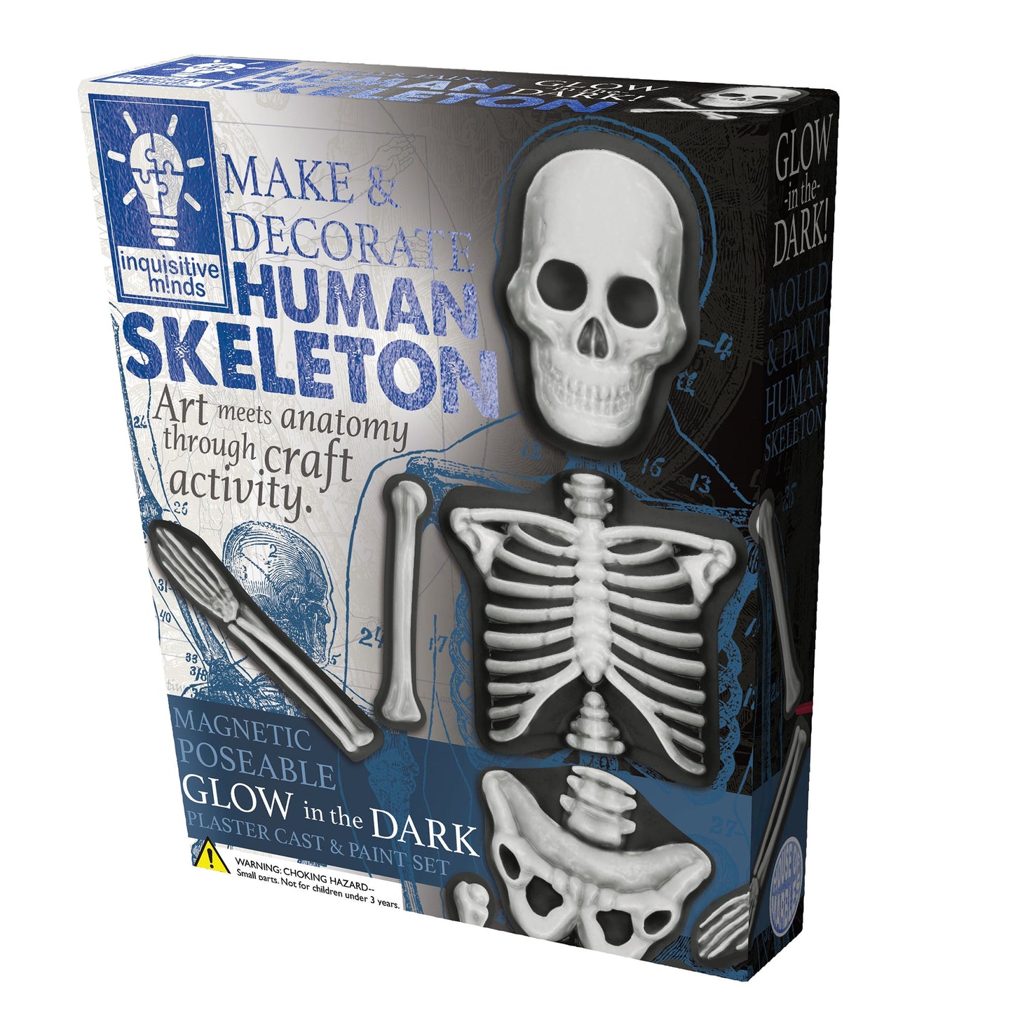 Make & Decorate Human Skeleton DIY Craft Kit Glow In The Dark Halloween Range Art and Craft Early Science 5yrs+