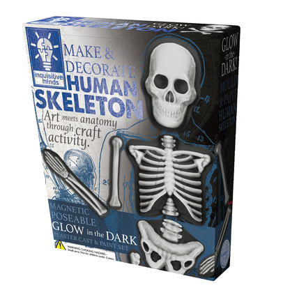 Make & Decorate Human Skeleton DIY Craft Kit Glow In The Dark Halloween Range Art and Craft Early Science 5yrs+