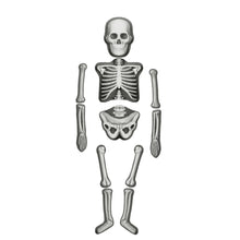 Make & Decorate Human Skeleton DIY Craft Kit Glow In The Dark Halloween Range Art and Craft Early Science 5yrs+