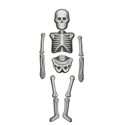 Make & Decorate Human Skeleton DIY Craft Kit Glow In The Dark Halloween Range Art and Craft Early Science 5yrs+