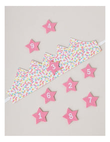 Interchangeable Number Birthday Crown in Multi