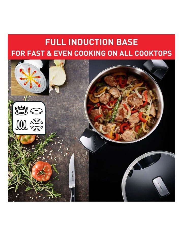 Emotion Induction Stockpot 6L in Stainless Steel