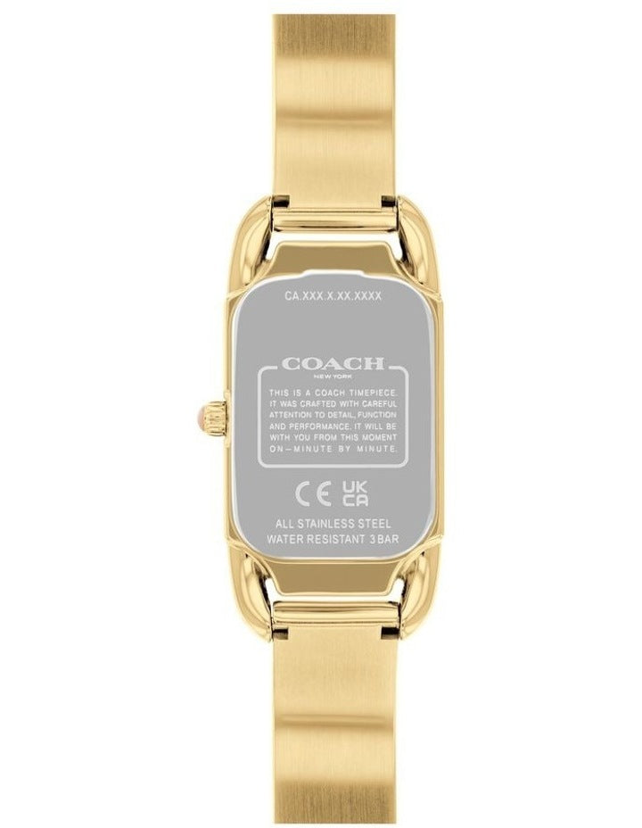 Cadie Ionic Plated Thin Steel And Crystals Dial Watch in Gold