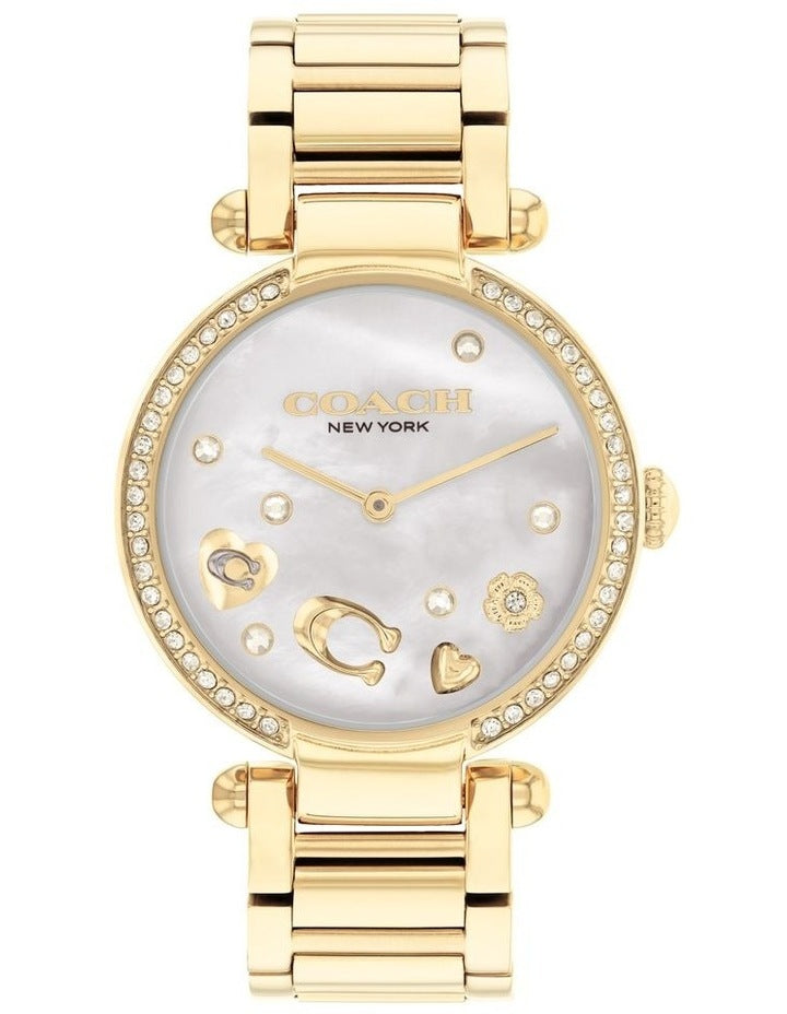 Elliot Ionic Plated Steel Dial Watch in Gold