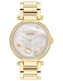 Elliot Ionic Plated Steel Dial Watch in Gold