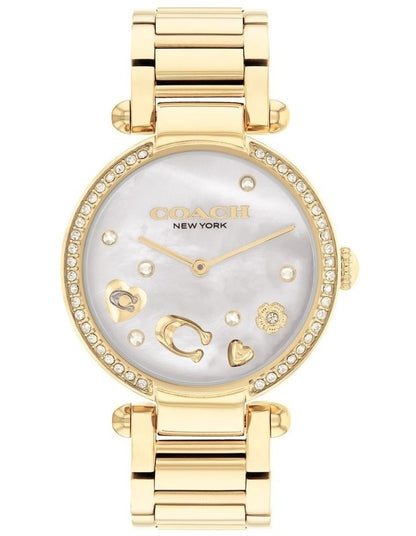Elliot Ionic Plated Steel Dial Watch in Gold