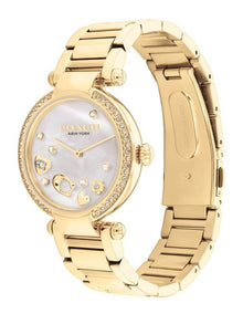 Elliot Ionic Plated Steel Dial Watch in Gold