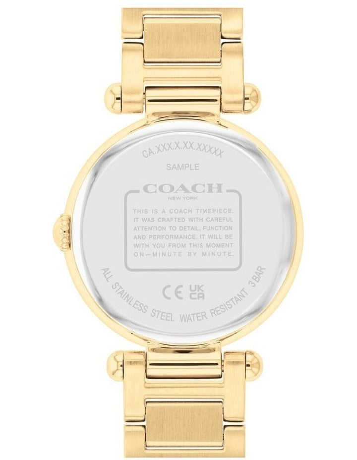 Elliot Ionic Plated Steel Dial Watch in Gold