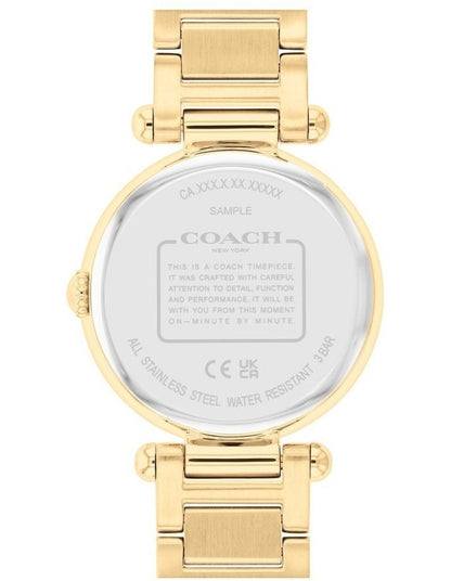 Elliot Ionic Plated Steel Dial Watch in Gold