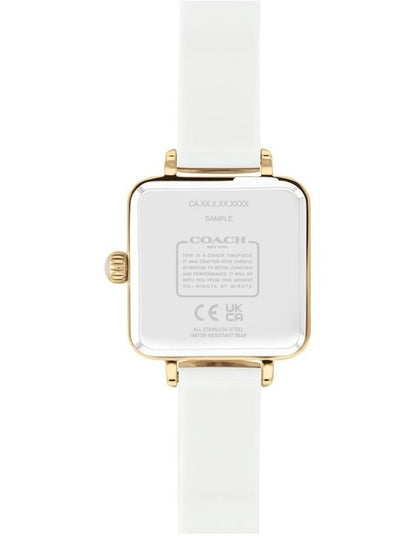 Cass Ionic Plated Dial Watch in Gold