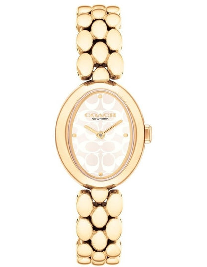 Sammy Stainless Steel and Ionic Plated Thin Steel Dial Watch in Gold