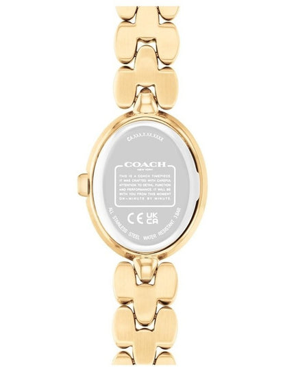 Sammy Stainless Steel and Ionic Plated Thin Steel Dial Watch in Gold